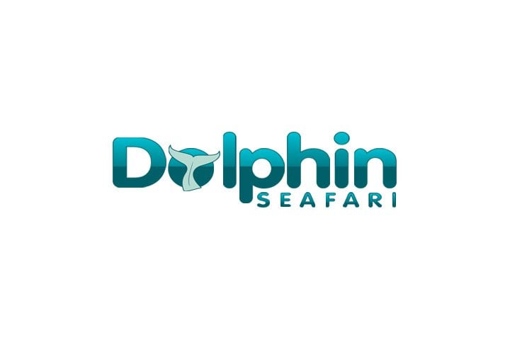 Things To Do Dolphin Seafari